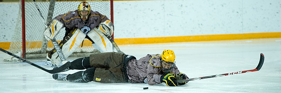 hockey_2015-01-06_woundwariors_dburns_7094