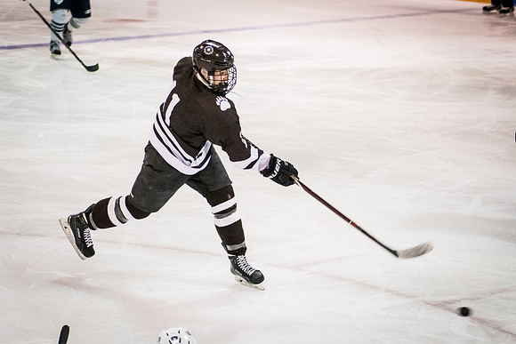 hockey_2018-01-27_wkl_8205