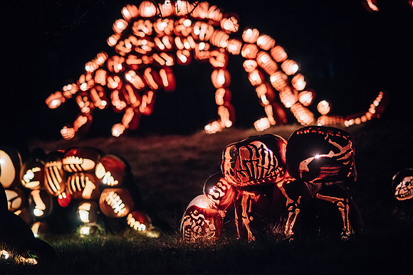pumpkinblaze17_hp_3565