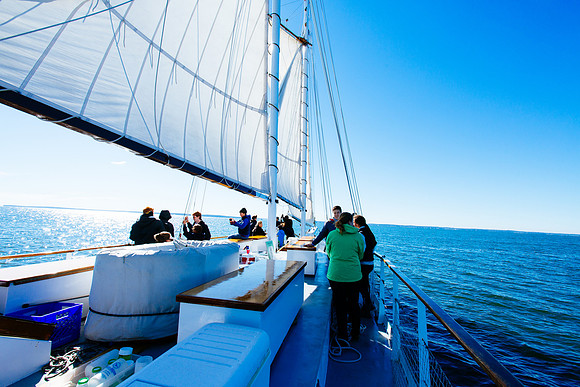 marinebio_soundwaters_jk_7319