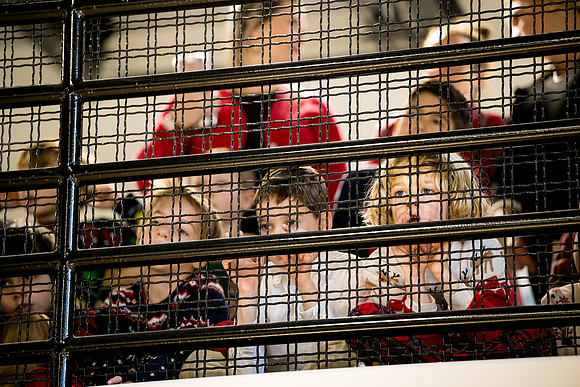 holidayconcert24_prek_ah_0067