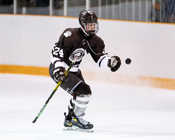 hockey_2022-01-12_dburns2_3038