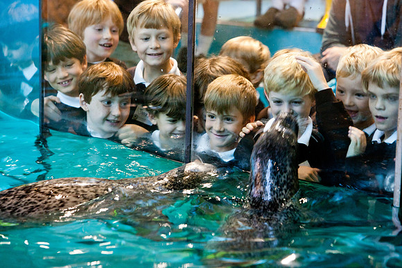 aquarium_ls_mkras_2419