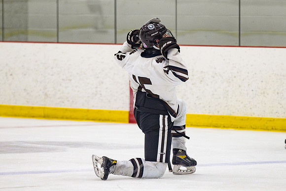 hockey_2025-02-19_rras_0055