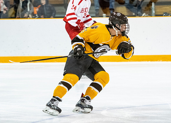 hockey_2019-01-12_dburns_4796