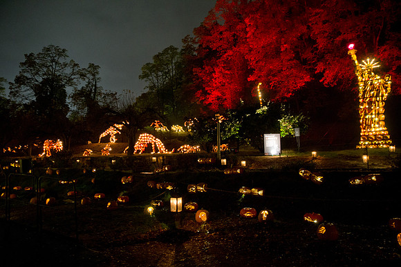 pumpkinblaze18_mkras_0001