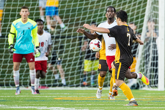 hc16_soccer_db_4066
