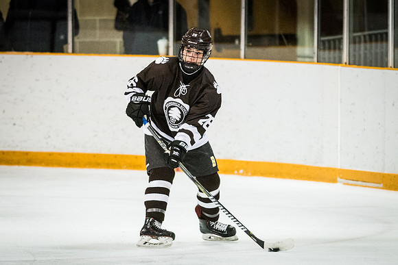 hockey_2018-01-27_wkl_7846