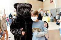 Bear Fair