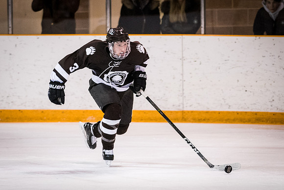 hockey_2018-01-27_wkl_8287