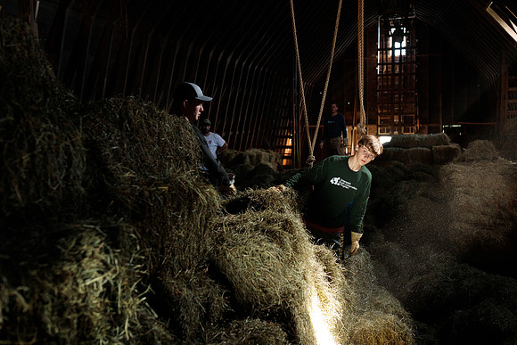 randolphvt1819_trip01_goatfarm_bdf_2422