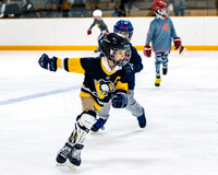 skateparty20_gr1-2_dburns_8420