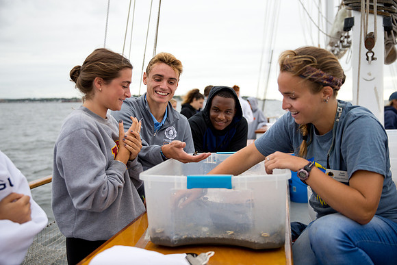marinebio_soundwater_us_mkras_0135