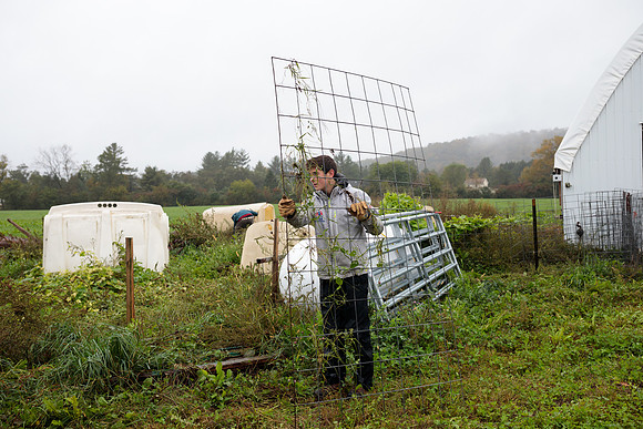 randolphvt1819_trip02_goatfarm_bdf_6309