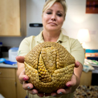 LEO Zoo visits US Science