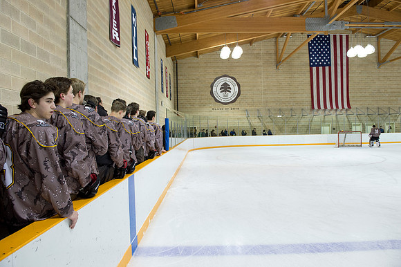 hockey_2015-01-06_woundwariors_dburns_4077
