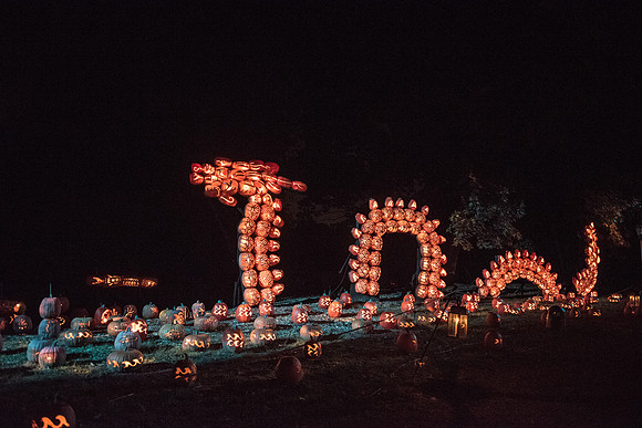 pumpkinblaze_hp_8346