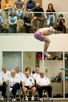 swimming_faa25championship_dive_ah_0002