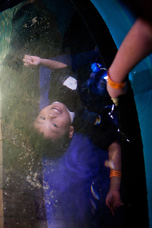 aquarium_ls_mkras_2328