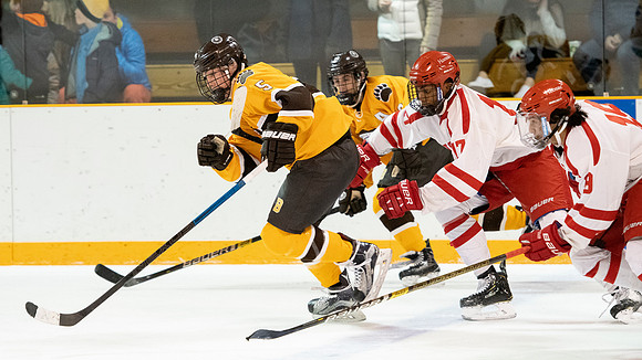 hockey_2019-01-12_dburns_4659