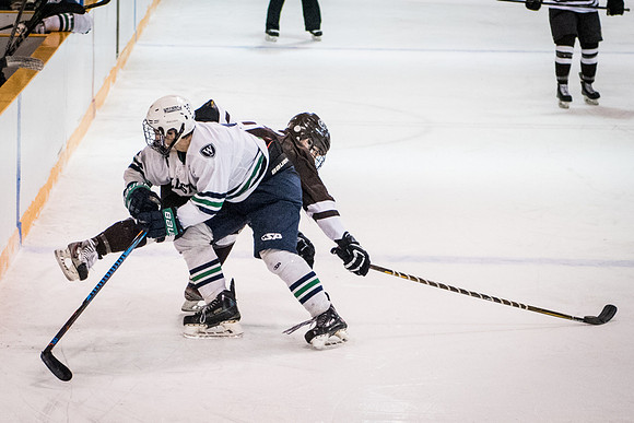 hockey_2018-01-27_wkl_8304