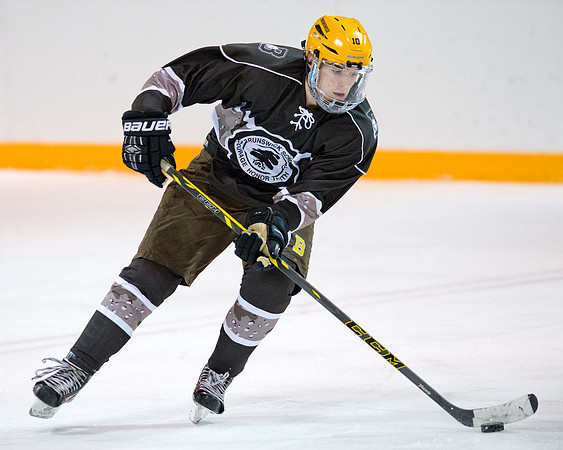hockey_2016-01-09_dburns_2077