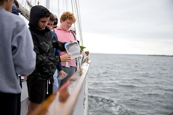 marinebio_soundwater_us_mkras_0059