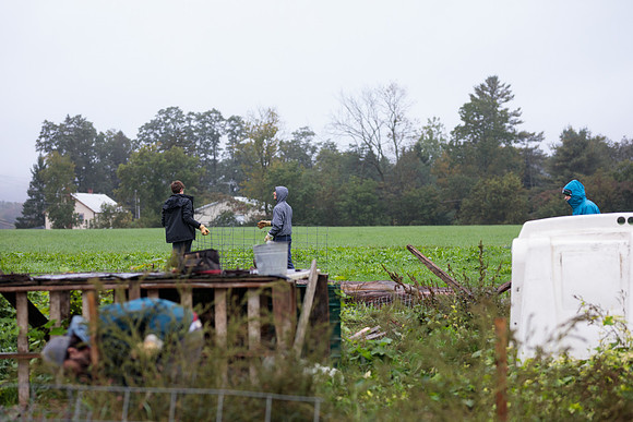 randolphvt1819_trip02_goatfarm_bdf_1809