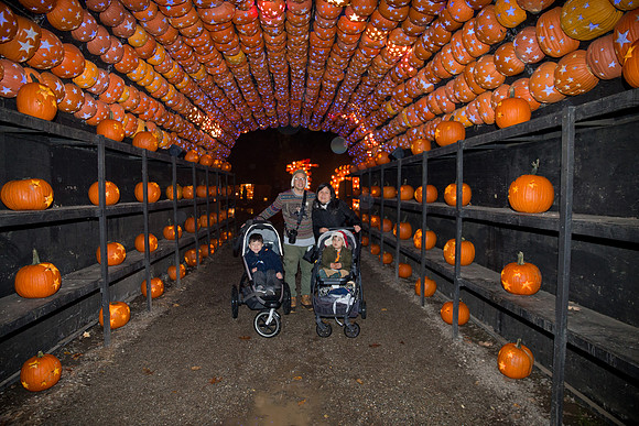 pumpkinblaze18_mkras_0041