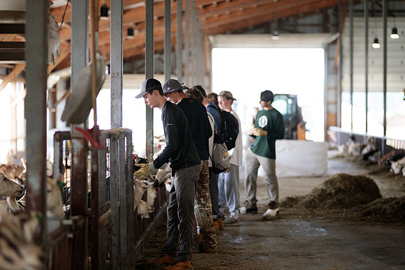 randolphvt1819_trip01_goatfarm_bdf_7092