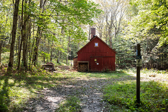 randolphvt2122_trip01_woodsplitting_bdf_4616