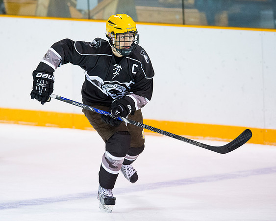 hockey_2016-01-09_dburns_1797