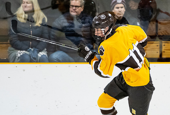 hockey_2019-01-12_dburns_4437