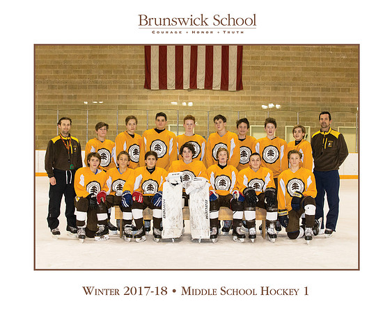 team_winter1718_hockey_ms1