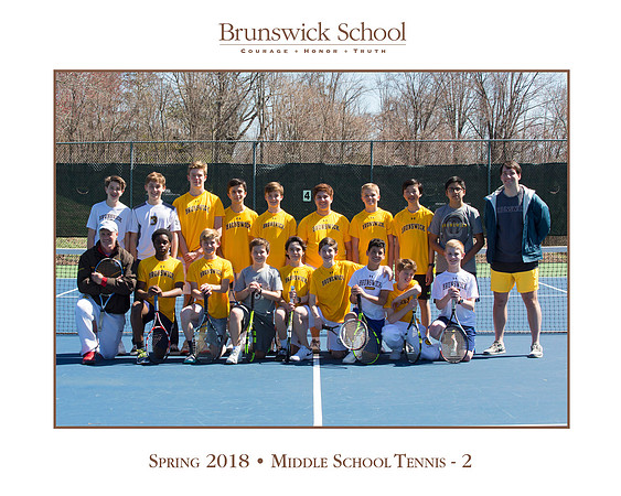 team_spring1718_tennis_ms2