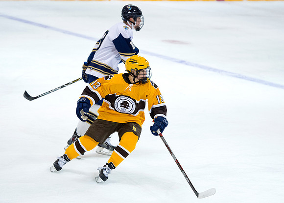 hockey_2015-12-04_db_9202