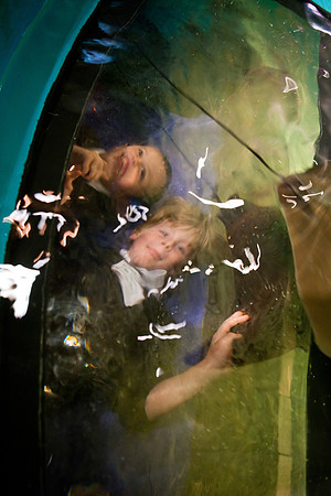 aquarium_ls_mkras_2356