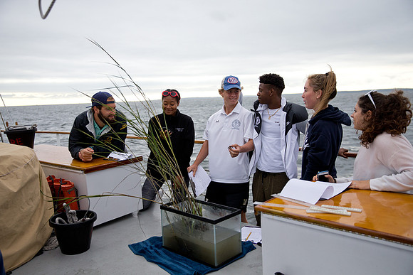 marinebio_soundwater_us_mkras_0126