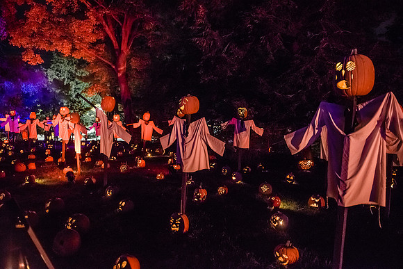 pumpkinblaze16_hp_9343