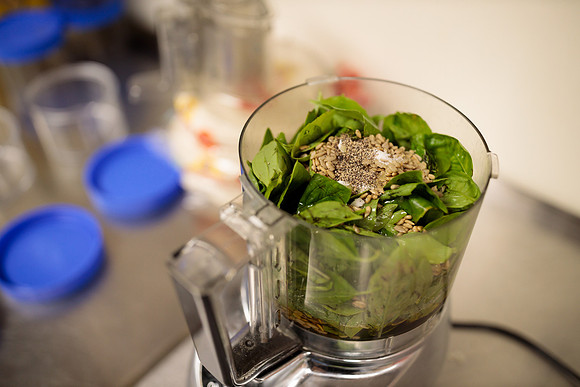 randolphvt2122_trip01_pesto_bdf_4555