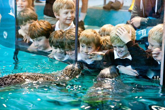 aquarium_ls_mkras_2422