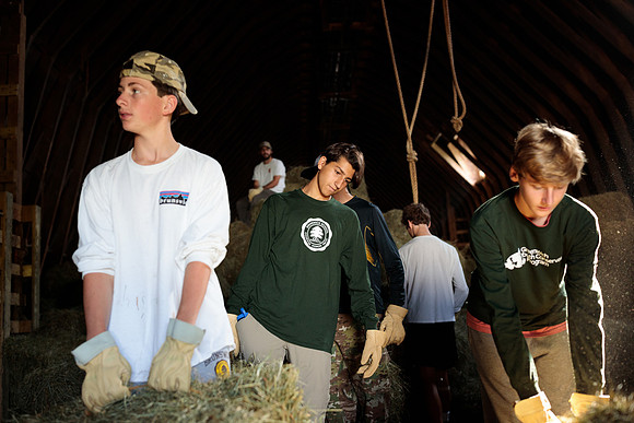 randolphvt1819_trip01_goatfarm_bdf_2270