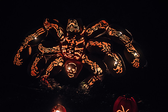 pumpkinblaze17_hp_3404