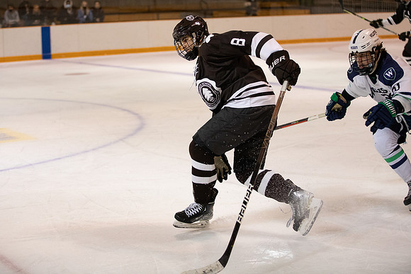 hockey_2022-02-03_gh_0066