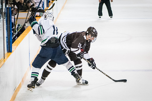 hockey_2018-01-27_wkl_8307