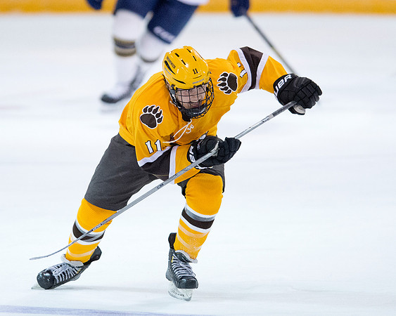 hockey_2015-12-04_db_0469