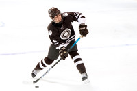 hockey_2022-02-02_dburns1_4399