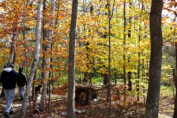 randolphvt1819_trip03_discgolf_bdf_1069