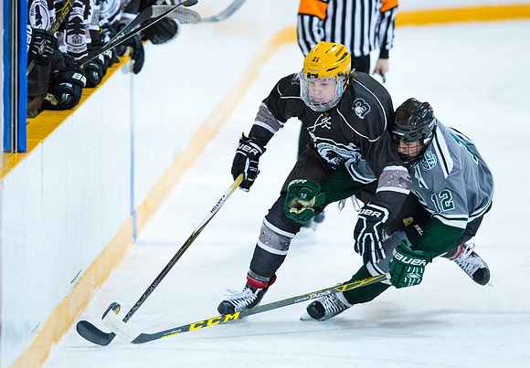 hockey_2016-01-09_dburns_1842