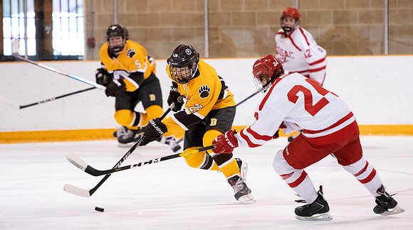 hockey_2019-01-12_dburns_4460